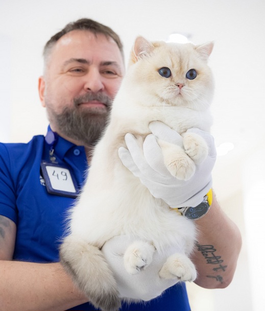 WCH. Star Sinem's Points